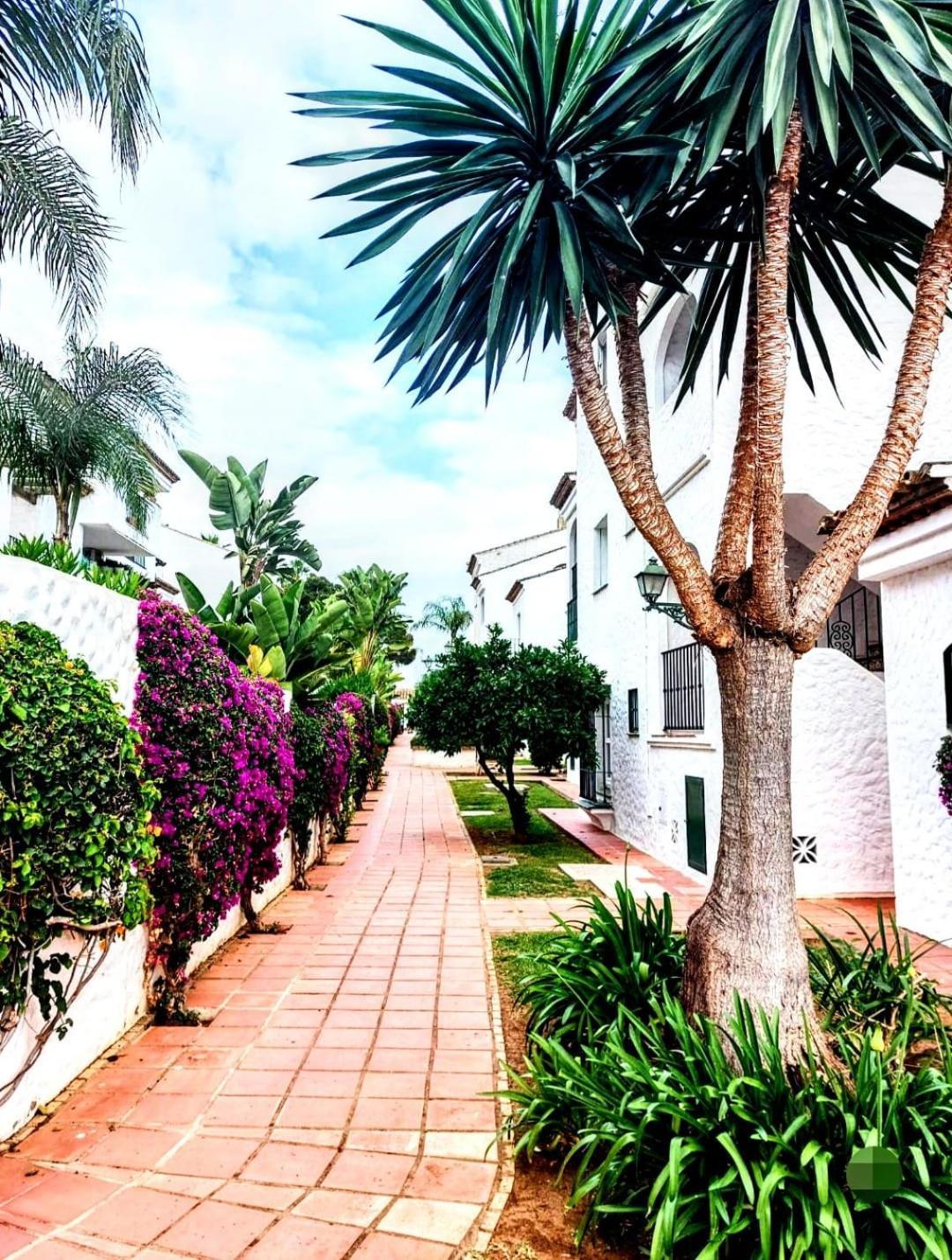 Paraiso Y Mar Apartment Estepona Exterior photo